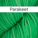 Parakeet - Dye to Order